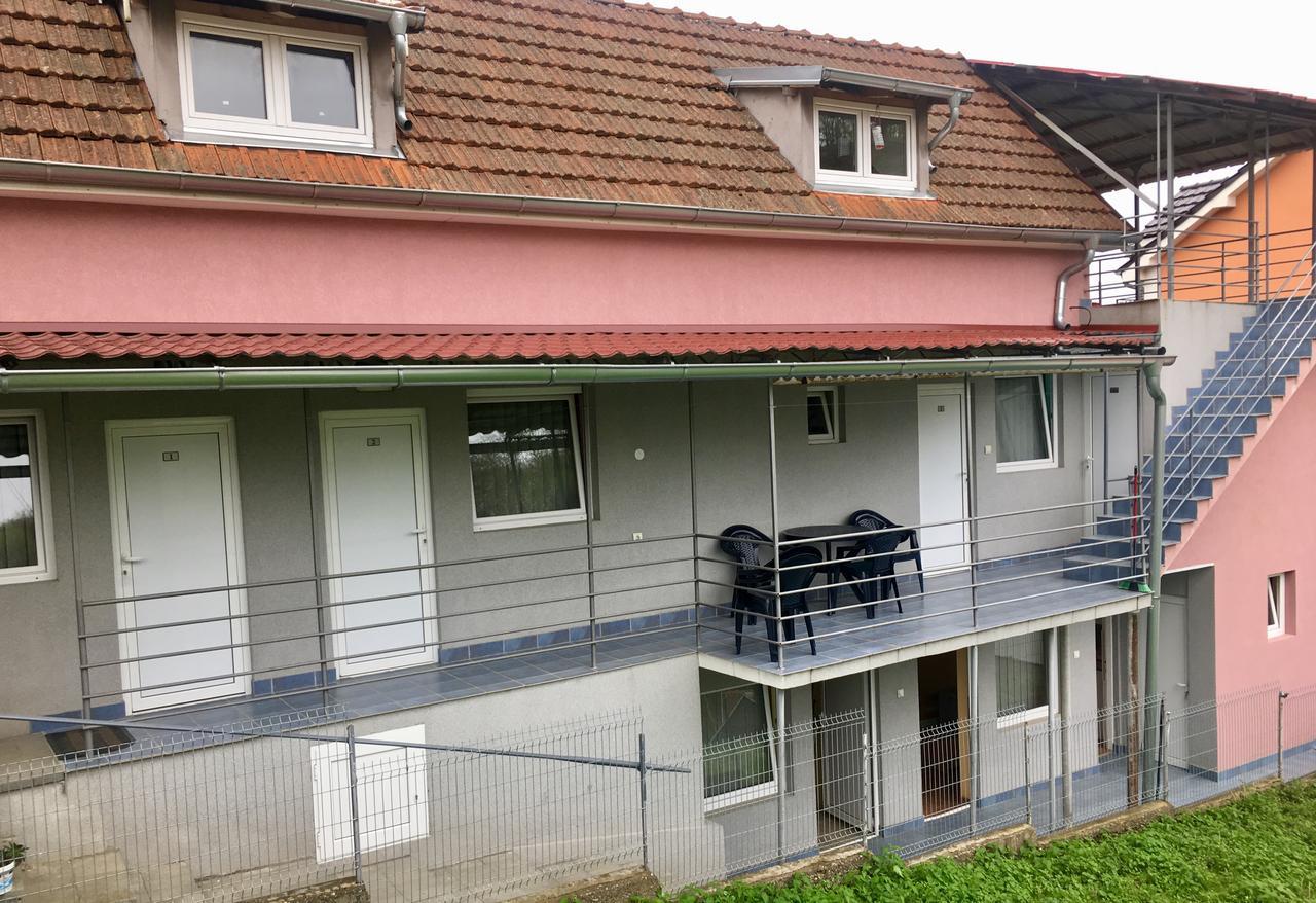 Banja Gornja Trepca-Smestaj Grof Kültér fotó